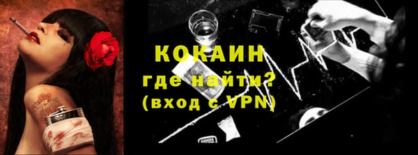 молекула духа Снежинск
