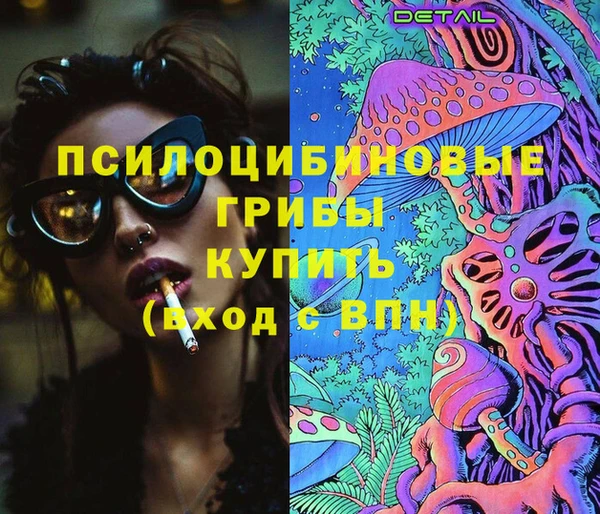 ECSTASY Снежногорск