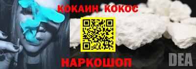 индика Дубна