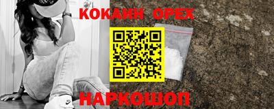 индика Дубна