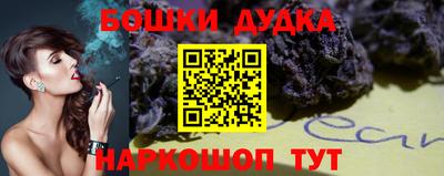 индика Дубна