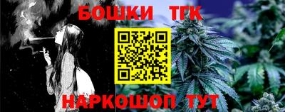индика Дубна