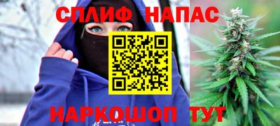 индика Дубна