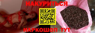 индика Дубна